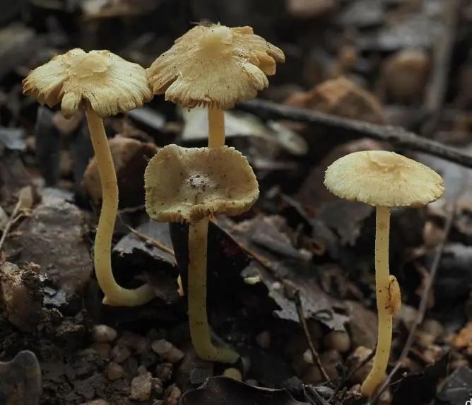 圖片關鍵詞